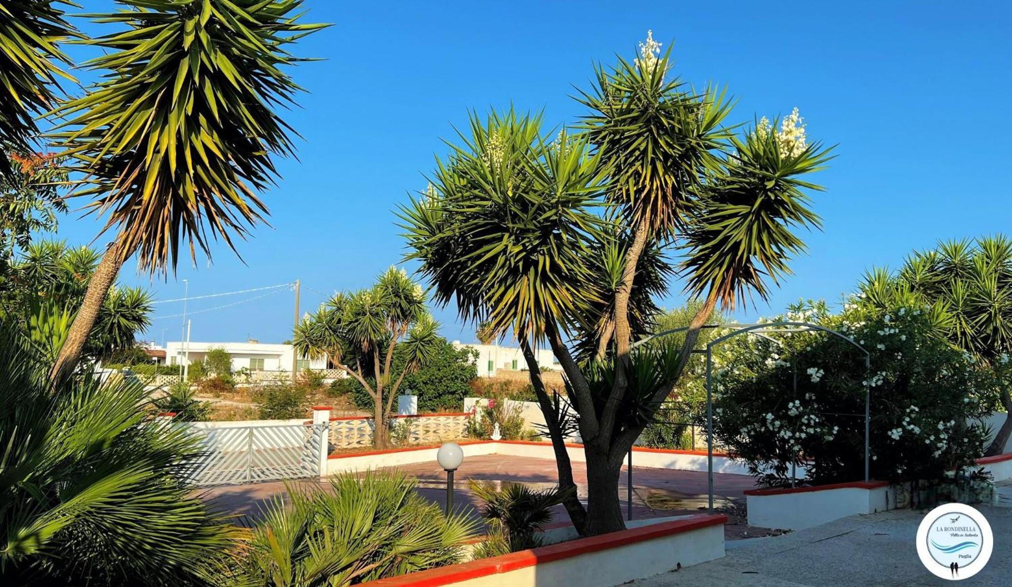 Villa La Rondinella - Torre San Giovanni 外观 照片